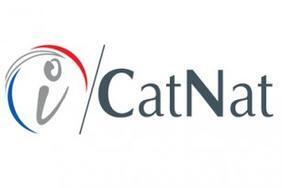 i cat nat